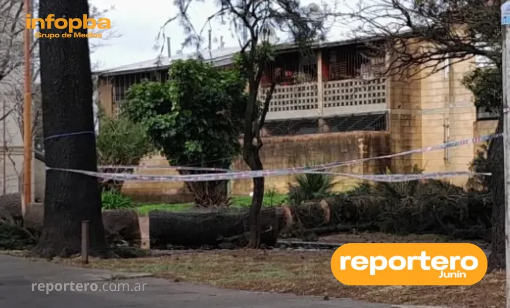 IMG GERMAN REPORTERO(65)