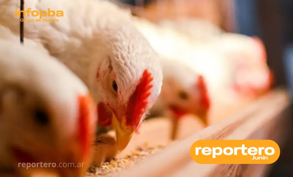 IMG GERMAN REPORTERO(7)