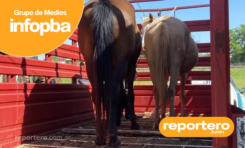 IMG GERMAN REPORTERO(429)