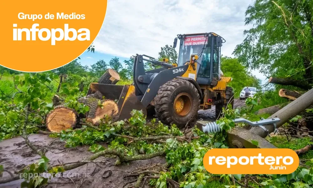 IMG GERMAN REPORTERO(340)