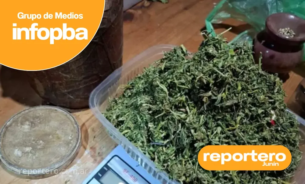 IMG GERMAN REPORTERO(377)