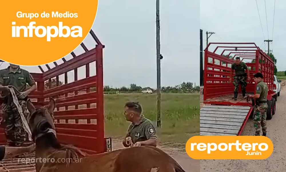 IMG GERMAN REPORTERO(510)