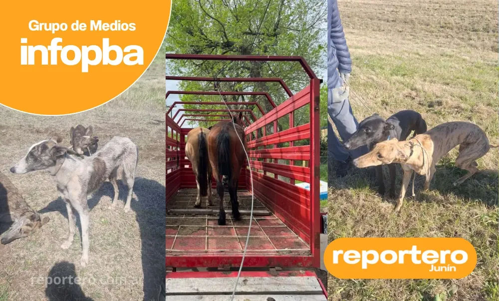 IMG GERMAN REPORTERO(239)