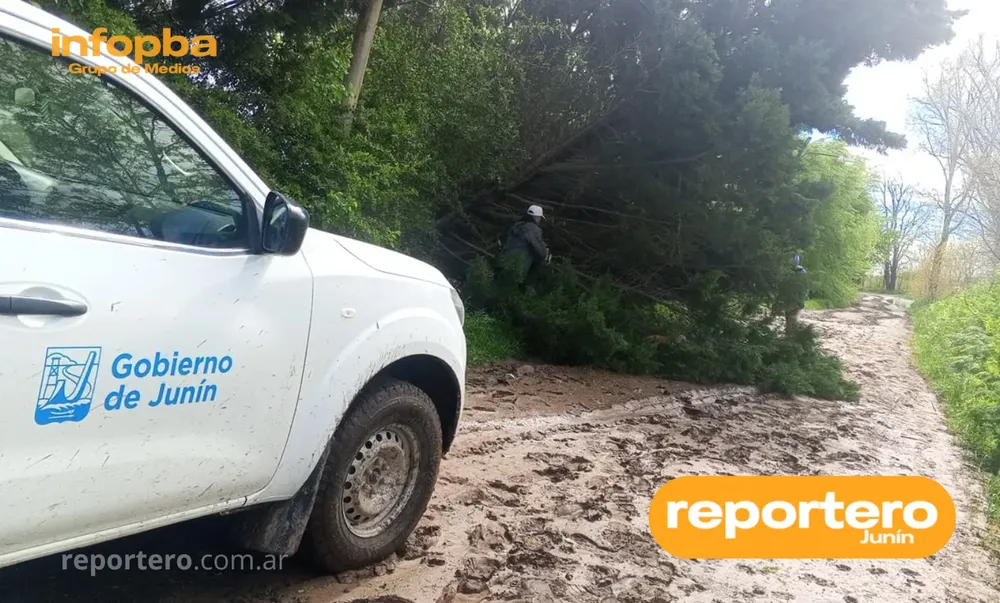 IMG GERMAN REPORTERO(212)