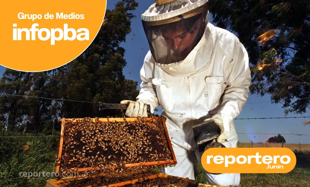 IMG GERMAN REPORTERO(370)