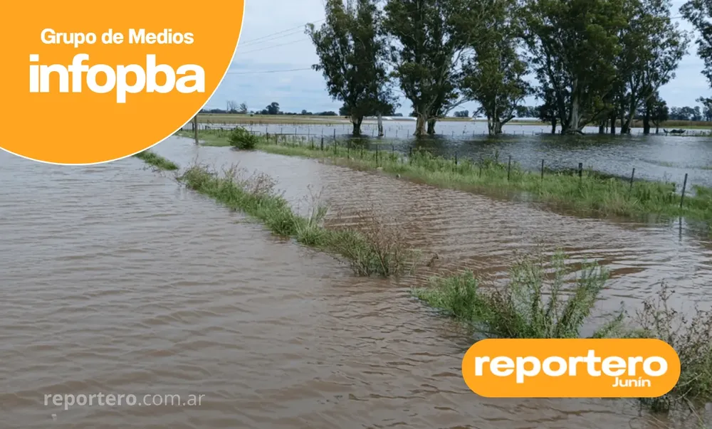 IMG GERMAN REPORTERO(231)