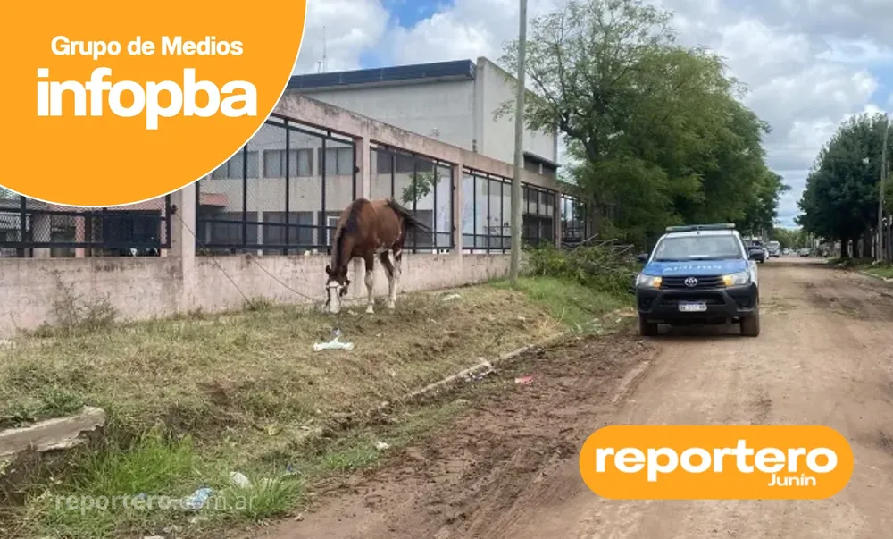 IMG GERMAN REPORTERO(603)
