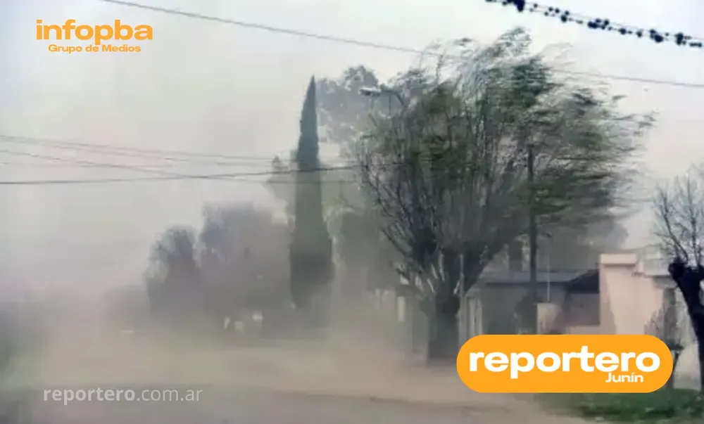 IMG GERMAN REPORTERO(208)