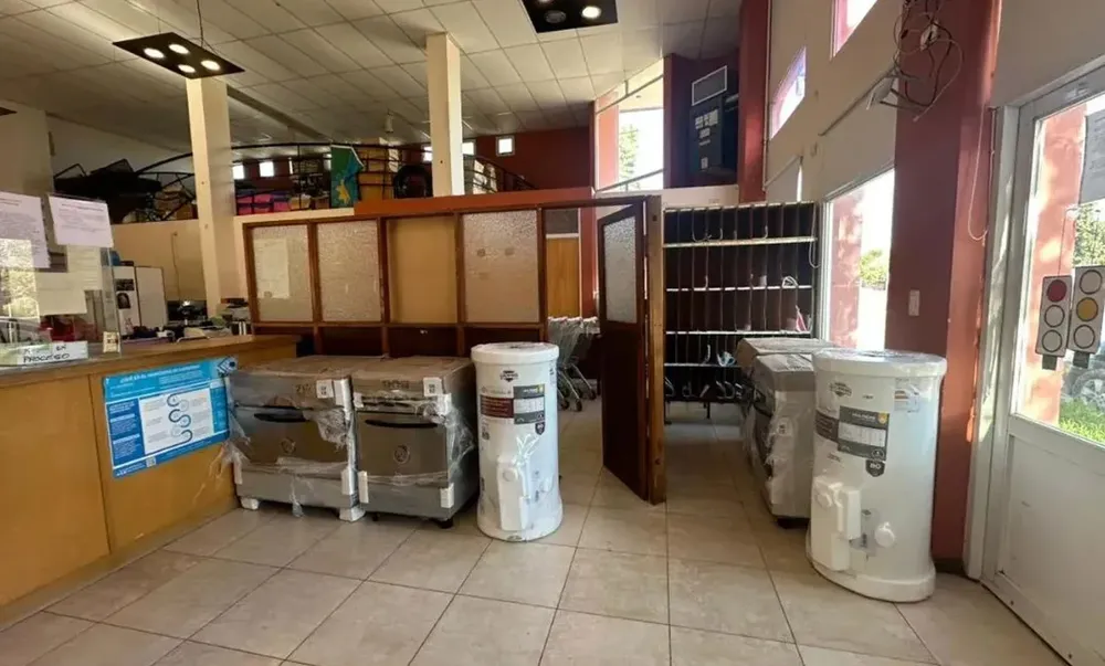 consejo escolar rojas