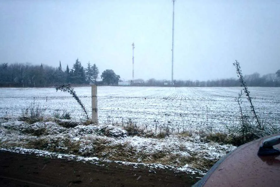 1120060_10151819262362074_73506260_o-scaled-1