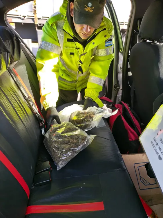 545375051_1204828978348768_3289672575181854338_n