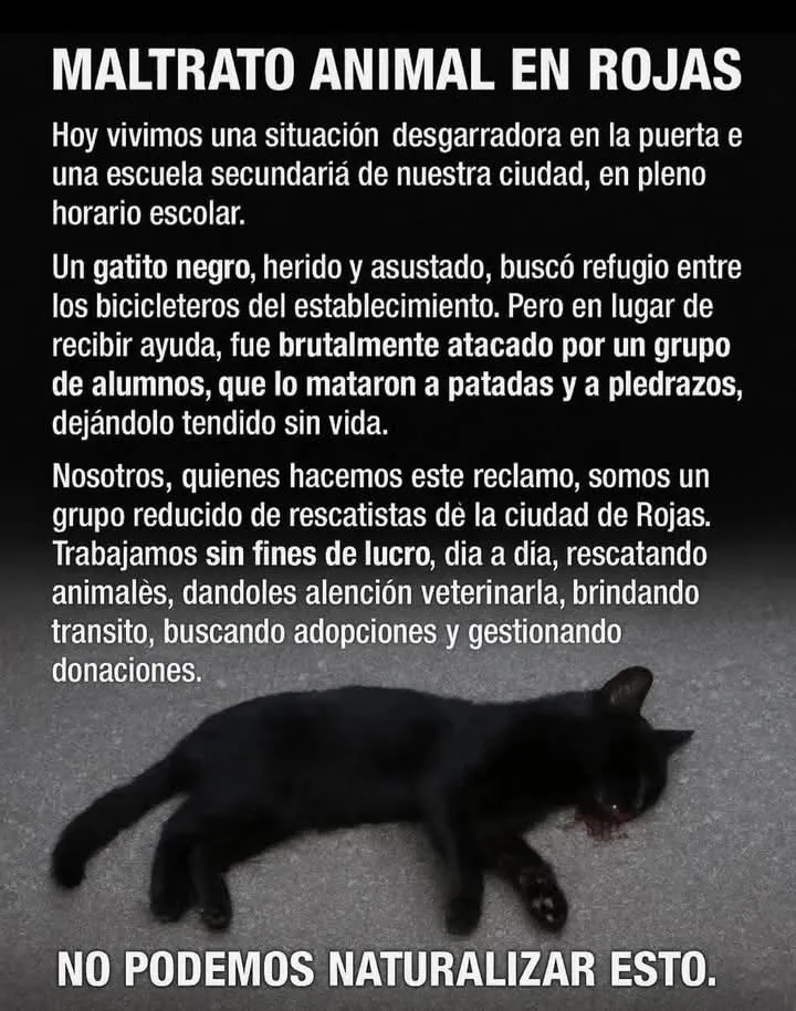 FB_IMG_1748094880770