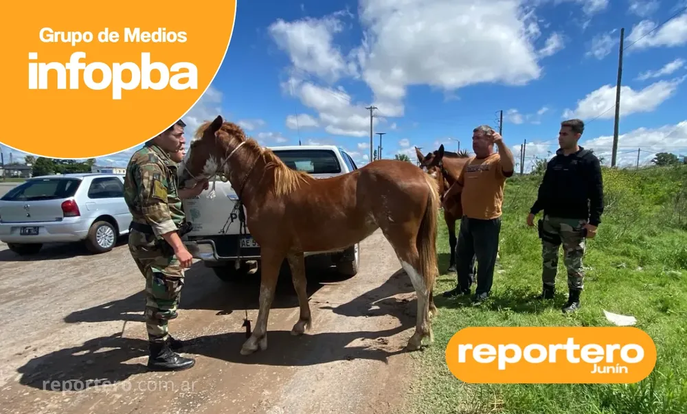 IMG GERMAN REPORTERO(382)