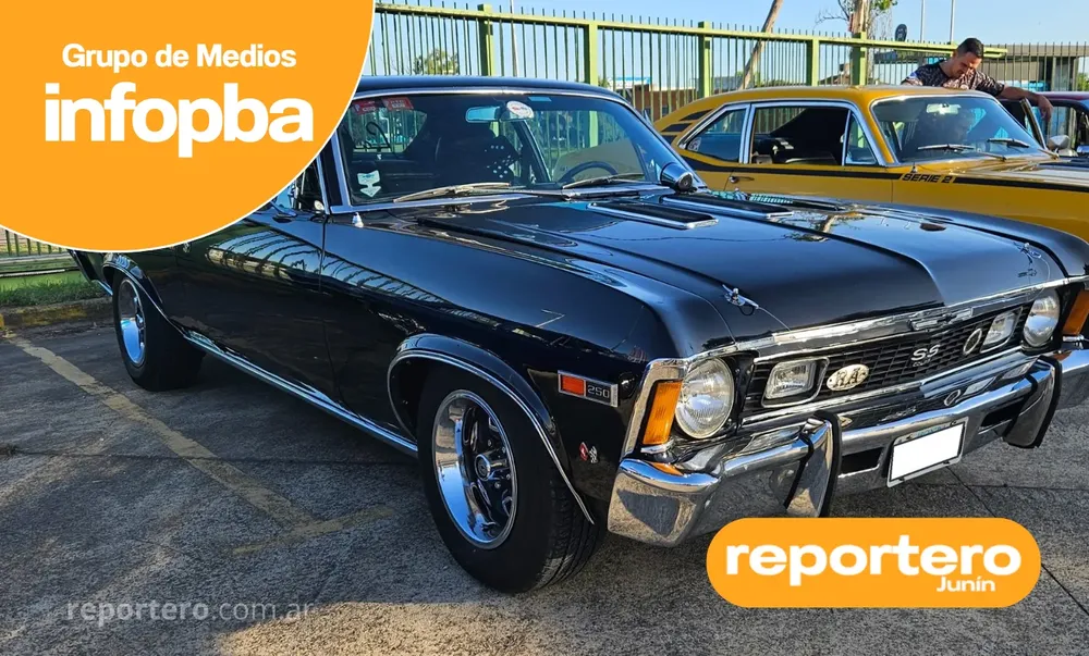 IMG GERMAN REPORTERO(356)