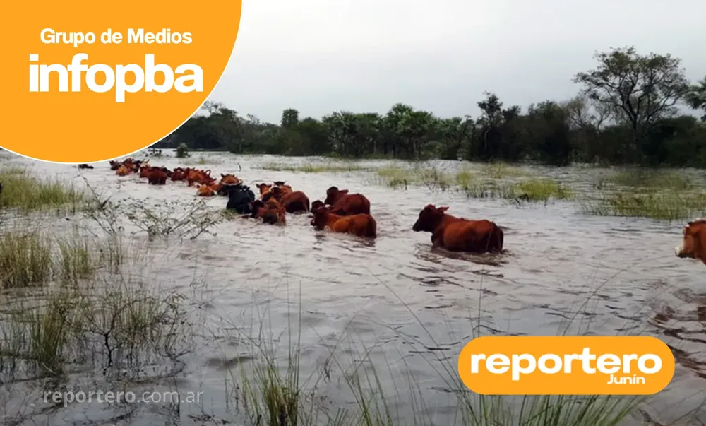 IMG GERMAN REPORTERO(385)