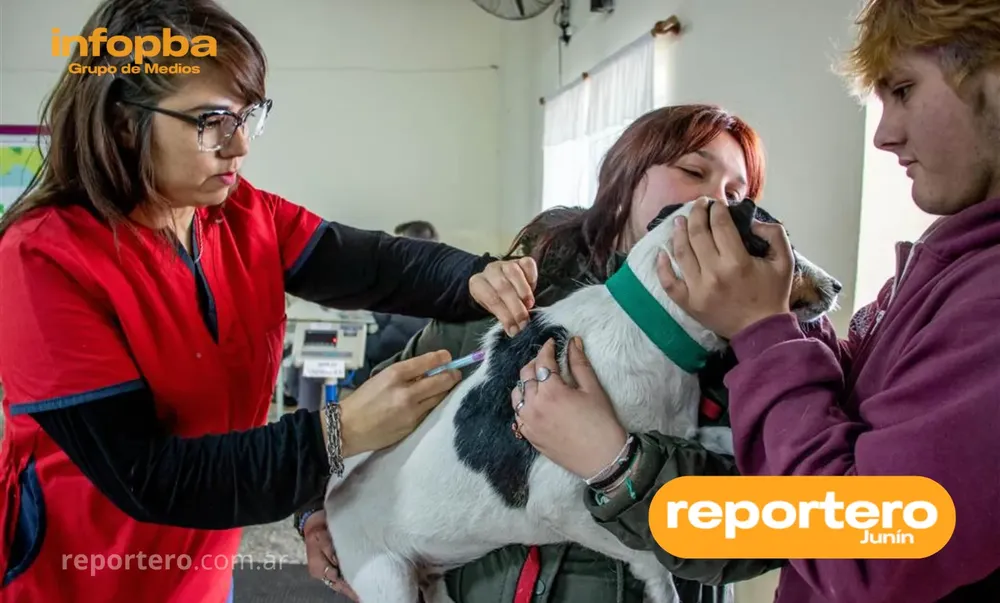 IMG GERMAN REPORTERO(62)