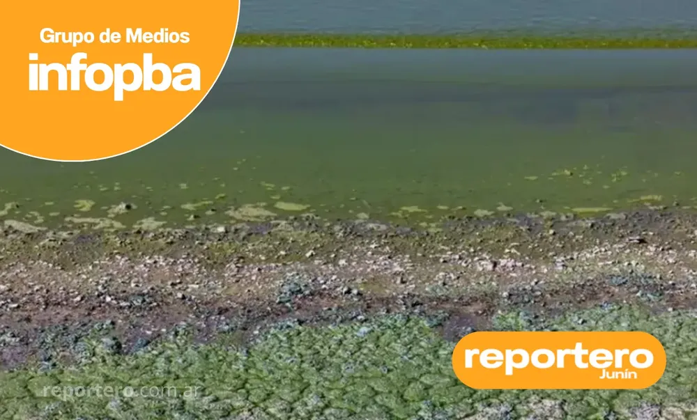 IMG GERMAN REPORTERO(518)